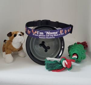 Personalized Dog Collars