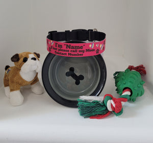 Personalized Dog Collars