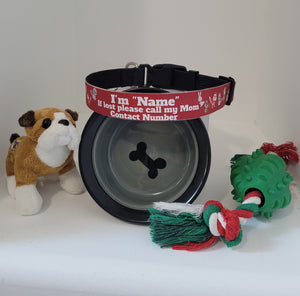 Personalized Dog Collars