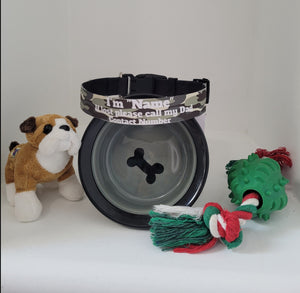 Personalized Dog Collars